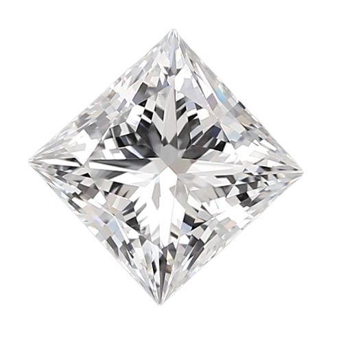 gases_lab_loosediamond_princess_03-07_vvs2_d_1f0d8b222ef5